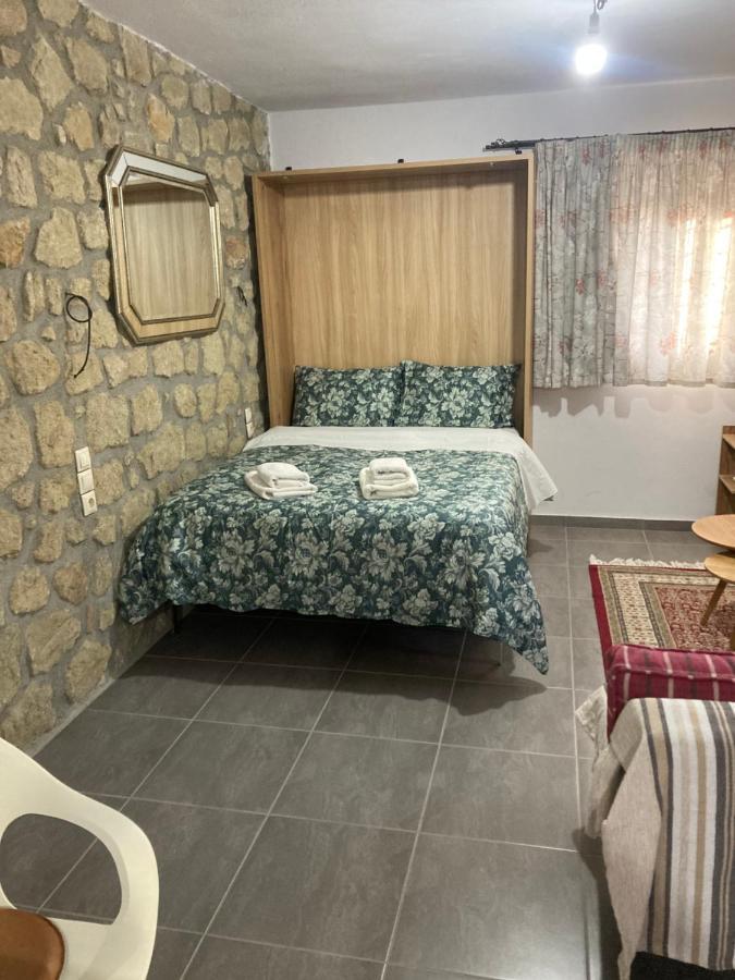 Villa Patriko Kalambaka Esterno foto